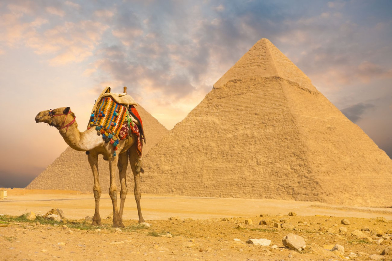 um-camelo-nas-piramides-de-gize-no-cairo-egito-3-1275x850